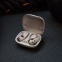 Беспроводные наушники Beats Powerbeats Pro 2 Wireless Earbuds Quick Sand