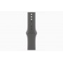 Apple Watch S10 46mm Natural Titanium Case with Stone Gray Sport Band M/L 