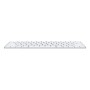 Клавиатура Apple Magic Keyboard USB-C Белый (MXCL3)