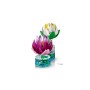 Конструктор LEGO Botanicals 11511 Водяные Лилии, белый/розовый, от 9 лет, 259 дет.