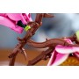 Конструктор LEGO Botanicals 11510 Ветви магнолии, розовый, 435 дет.