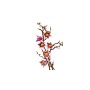 Конструктор LEGO Botanicals 11510 Ветви магнолии, розовый, 435 дет.