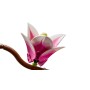 Конструктор LEGO Botanicals 11510 Ветви магнолии, розовый, 435 дет.