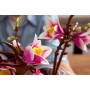 Конструктор LEGO Botanicals 11510 Ветви магнолии, розовый, 435 дет.