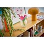 Конструктор LEGO Botanicals 11514 Цветы Космеи, искусственный букет из элементов Лего