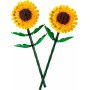 Конструктор LEGO Botanicals 40524 