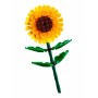 Конструктор LEGO Botanicals 40524 