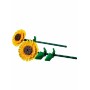 Конструктор LEGO Botanicals 40524 