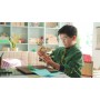Конструктор LEGO Creator 3-in-1 31386 Величественный лев, 839 дет.