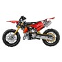 Конструктор LEGO Technic Ducati Desmo 450 Motorcycle 42238, 457 деталей, от 10 лет