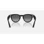 Очки с камерой Ray-Ban Meta Headliner Gen 2 RW4013 Matte Black / Polar Gradient Graphite, 50-23-150 мм